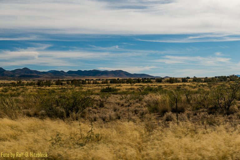 10.11.2017 – Tucson – Chiricahua National Monument