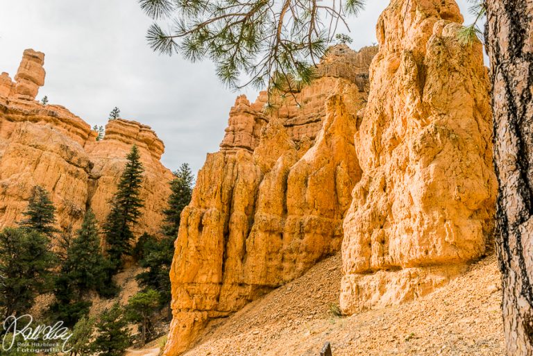 05.06.2018 – Fahrt zum Bryce Canyon – Red Canyon