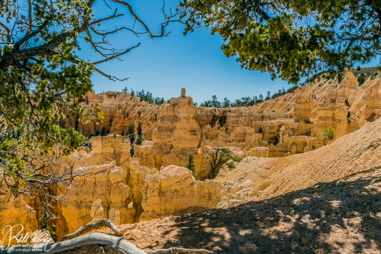 07.06.2018 – Bryce Canyon – Fairyland Trail