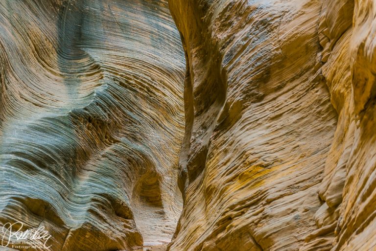 16.06.2018 – Lick Wash – Willis Creek