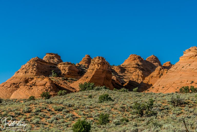 19.06.2018 – Coyote Butte South