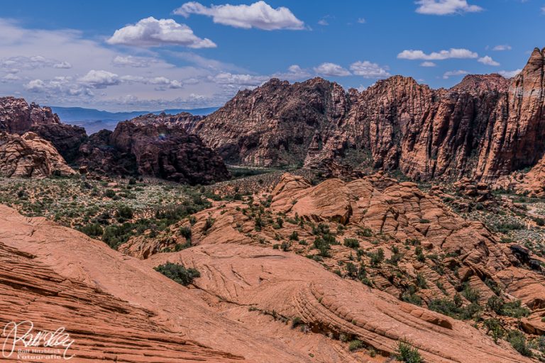 09.05.2019 – Snow Canyon State Park