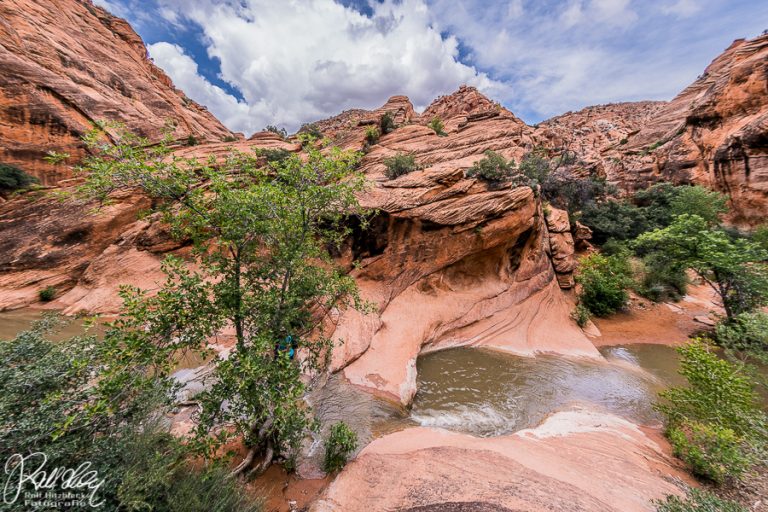10.05.2019 – Kolob Canyon – Red Cliffs
