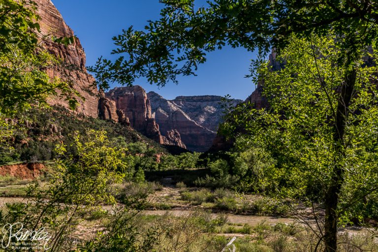 12.05.2019 – Zion National Park