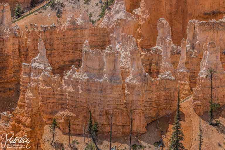 14.05.2019 – Bryce Canyon