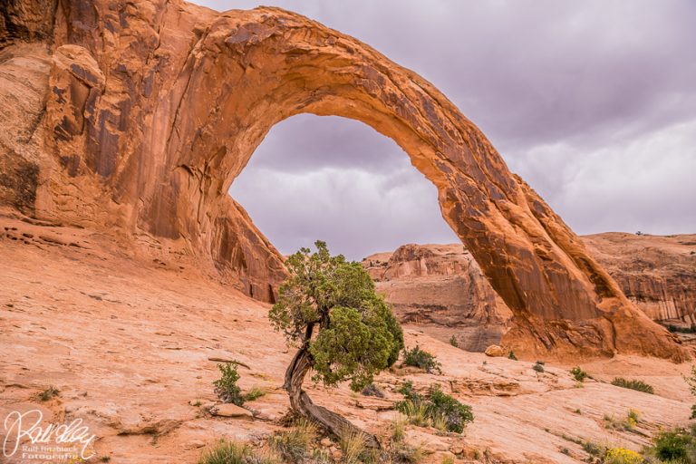 19.05.2019 – Moab und Umgebung