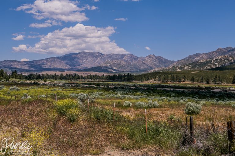 31.05.2019 – Südlich vom Palm Desert