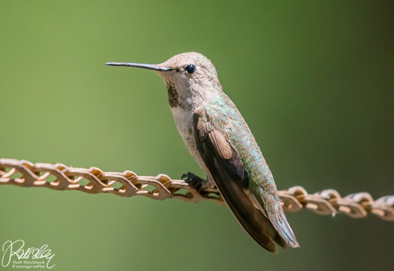 01.06.2019 – Fahrt von Palm Desert nach Los Angeles
