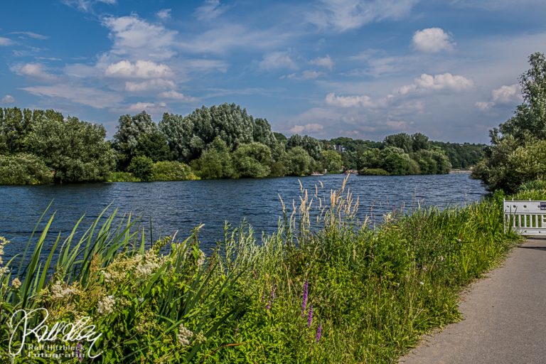 Ruhrputzen in Essen 2019