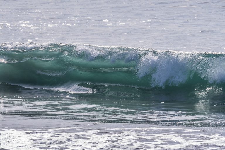 11.10.2019 – Pinnacles National Park