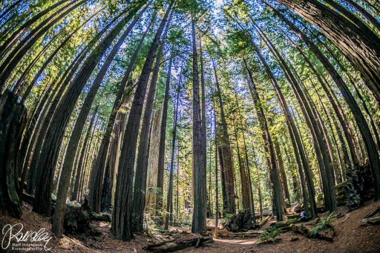 07.10.2019 – Fahrt von Eureka nach Fort Bragg