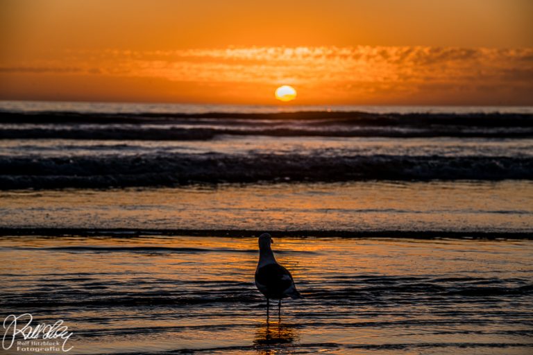 12.10.2019 – Fahrt von Monterey nach Arroyo Grande