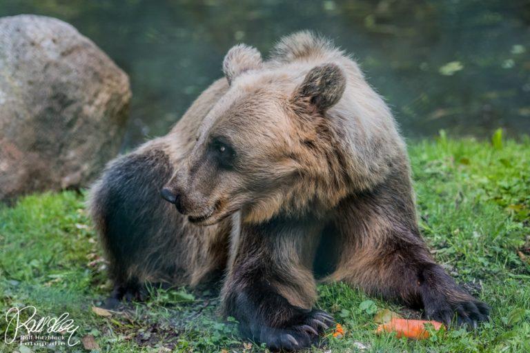 7. Reisetag: Unterwegs im Mecklenburger Seenland