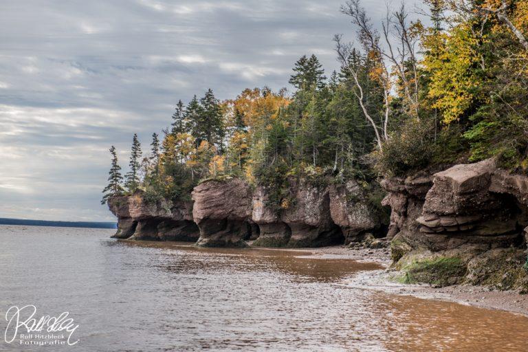16.10.2021 – Hopewell Rocks