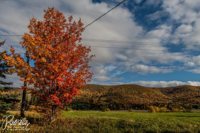 19.10.2021 – Von Moncton nach Chétikamp