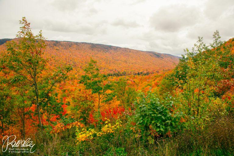 20.10.2021 Cabot Trail, von Chétikamp nach Ingonish Beach