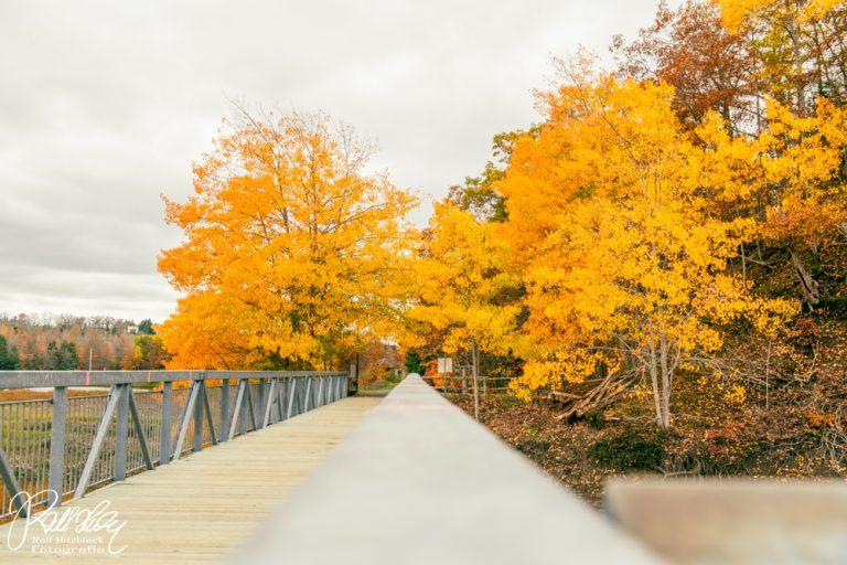 25.10.2021 – Warten auf die große Welle