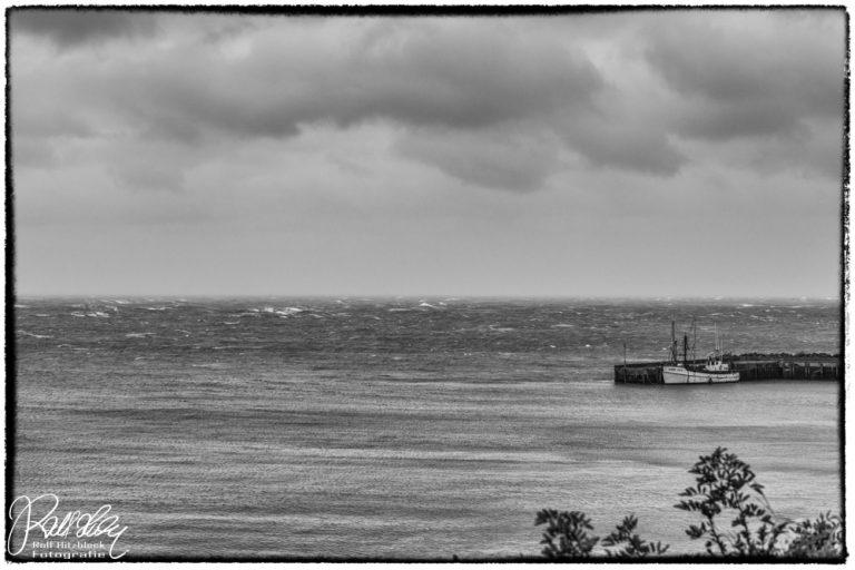 27.10.2021 Digby Neck oder „Das hatte ich so nicht erwartet“