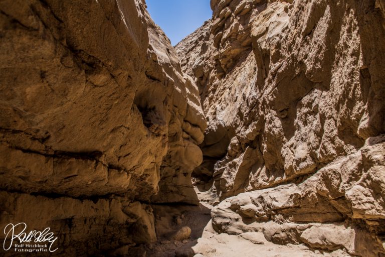 29.05.2022 – Die Wüste ruft