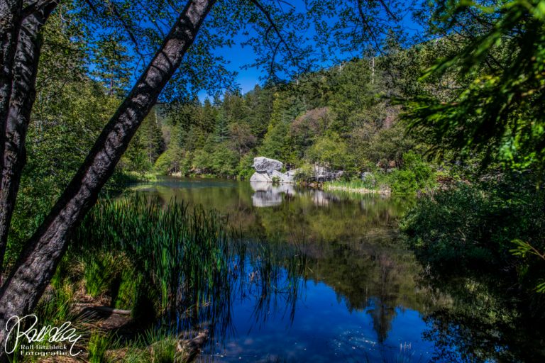 30.05.2022 – Pines to Palms National Scenic Byway