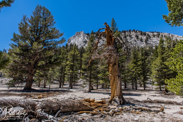 01.06.2022 – Cottonwood Lakes Trail