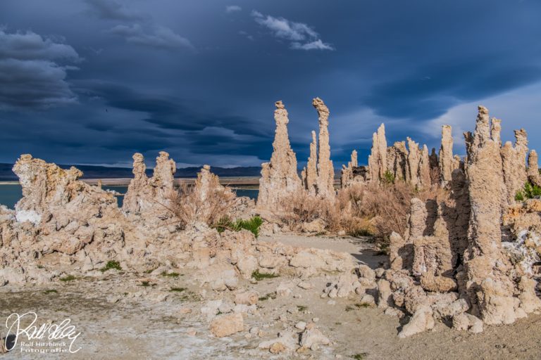 04.06.2022 – Ancient Bristlecone Pine Forest – Mono Lake