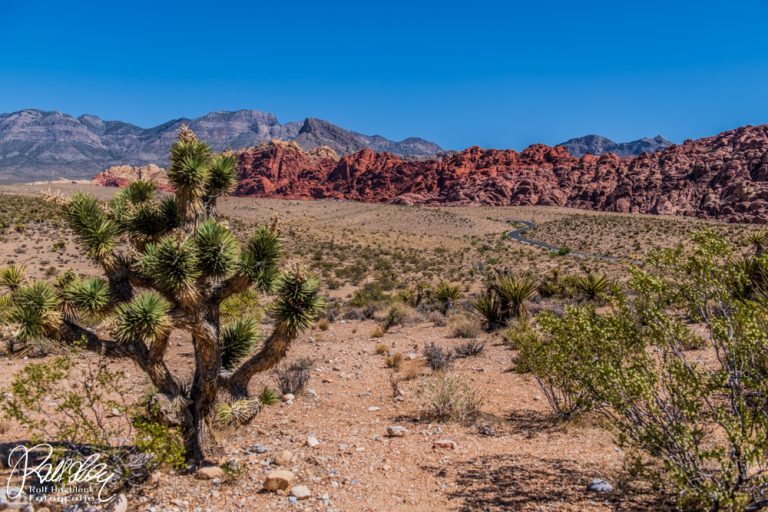 07.06.2022 – Calico Tanks Trail