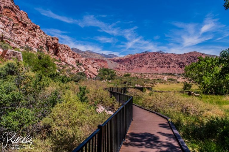 09.06.2022 – Calico Basin