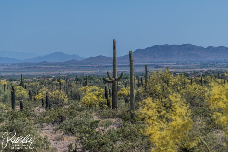 04.05.2023 – Von Yuma nach Phoenix