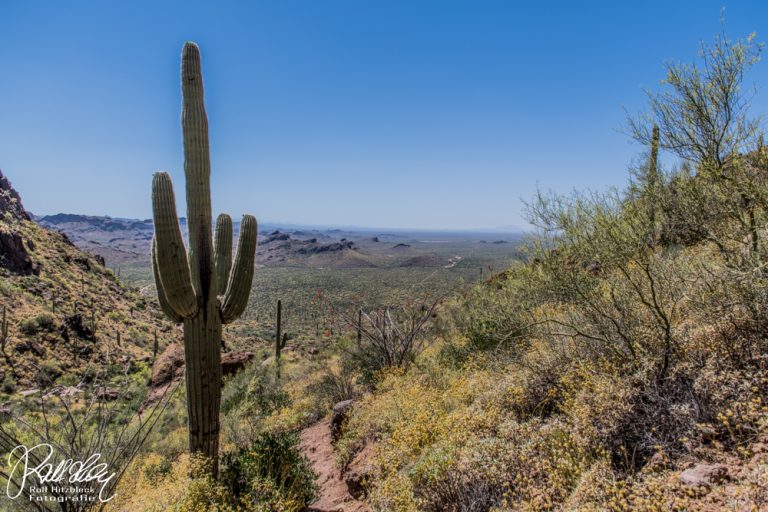 05.05.2023 – Wave Cave Trail