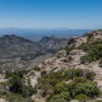 09.05.2023 - Mount Lemmon _A836696