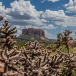 15.05.2023 - Subway Cave _A837031