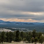 16.05.2023 - von Cottonwood nach Flagstaff _A837059