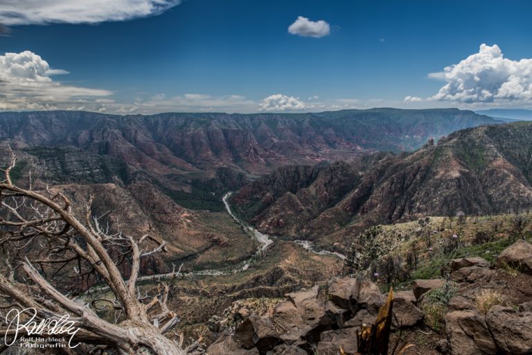 19.05.2023 – Sycamore Falls