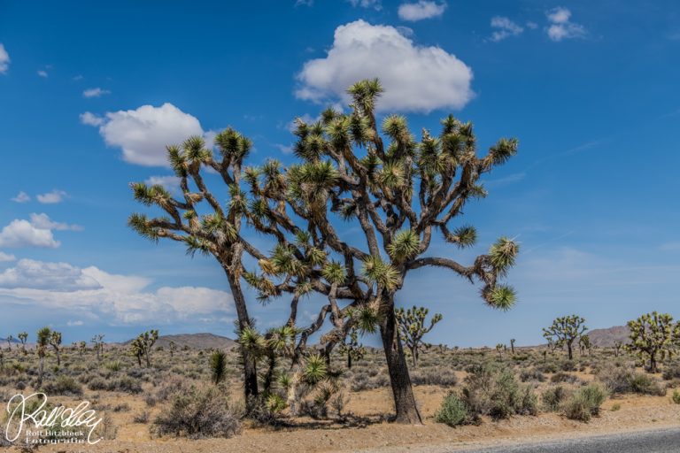 21.05.2023 – von 29 Palms nach Los Angeles