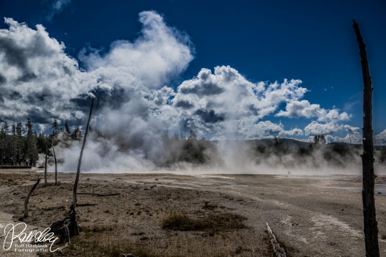 14.09.2023 – Yellowstone Nationalpark, Teil 1
