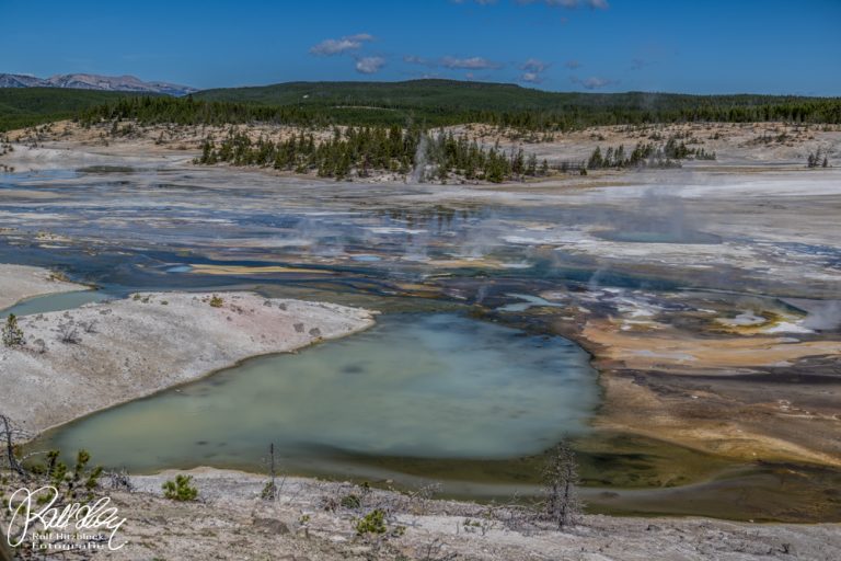 15.09.2023 -Yellowstone Nationalpark, Teil 2