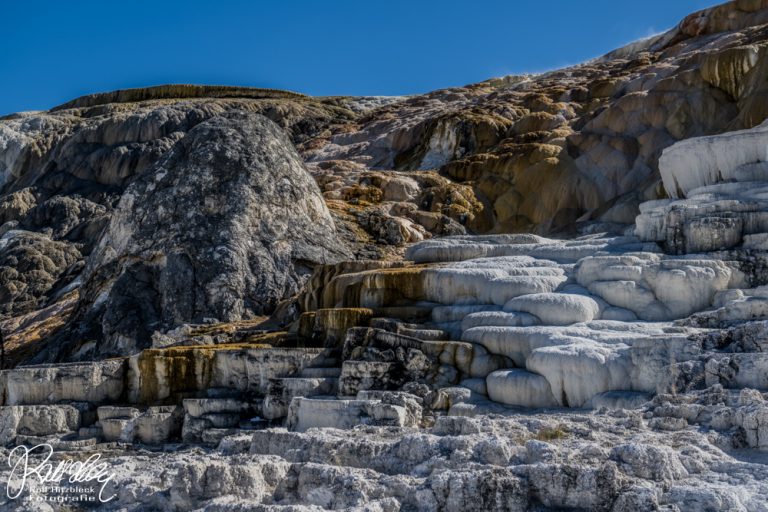 16.09.2023 – Yellowstone Nationalpark – Teil 3