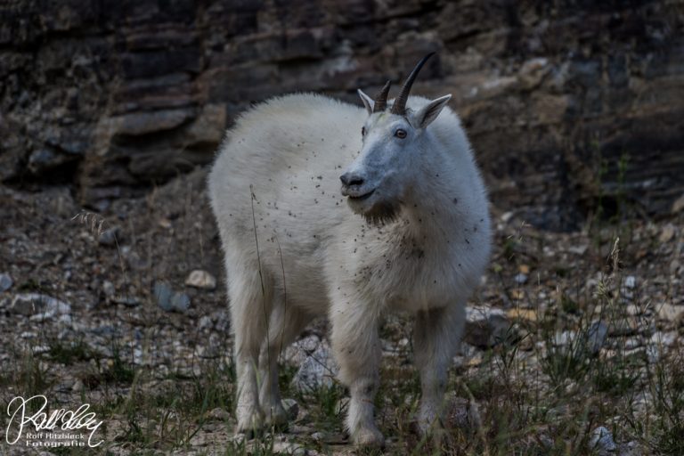 21.09.2023 – In den Black Hills, Teil 1