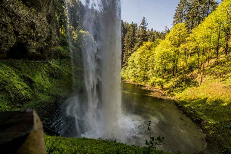 12.05.2024 – Silver Falls State Park