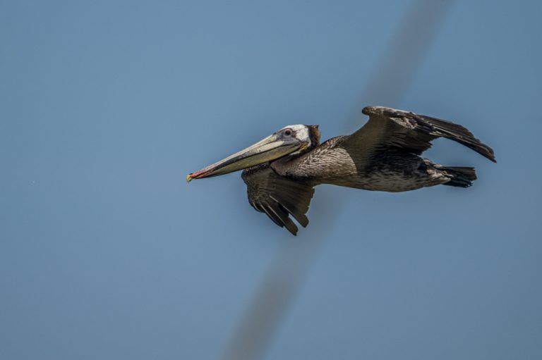 20.05.2024 – Point Reyes National Seashore
