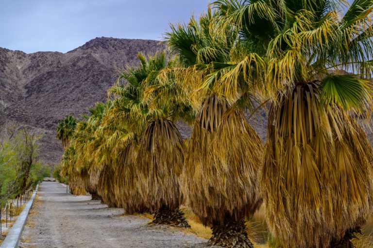 05.03.2025 – Fahrt von Los Angeles nach Las Vegas