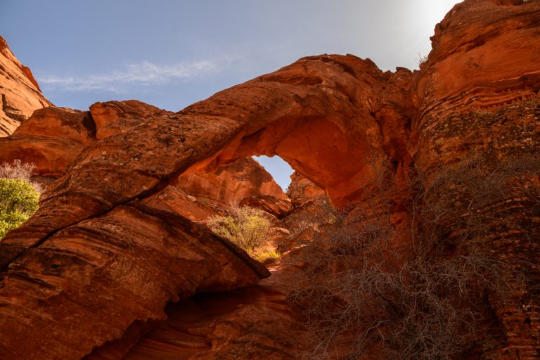 11.03.2025 – Elephant Arch