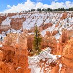 18.03.2025 - Bryce Canyon im Schnee Z95_7490