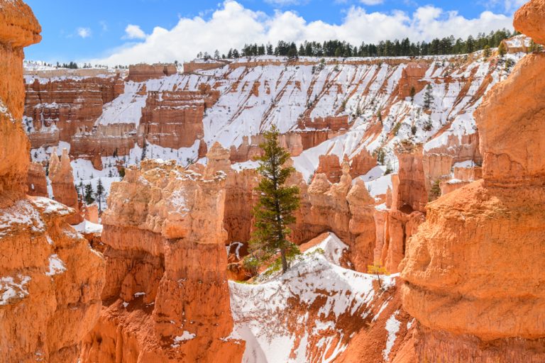 18.03.2025 – Bryce Canyon im Schnee