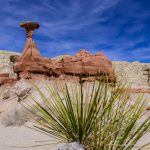 Reisebericht USA März 2025 - Nevada - Utah Z95_7828