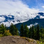 14.09.2025 - Olympic National Park W95_1423