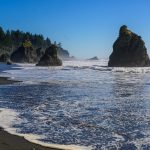 16.09.2025 - Von Sequim nach Aberdeen W95_1610