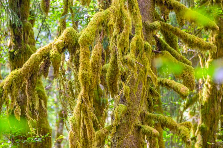 17.09.2025 – Unterwegs an der Westküste Washingtons