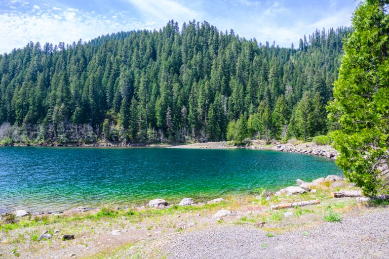 01.05.2026 – Entlang des McKenzie River